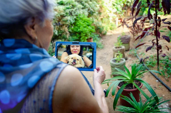 An old lady in the garden is talking on a video chat with her daughter and a small dog using a digital tablet.