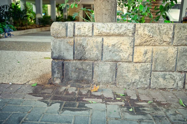 犬は住宅の入り口近くの低い石の壁の隅をマークしました 歩道には尿跡が見える — ストック写真