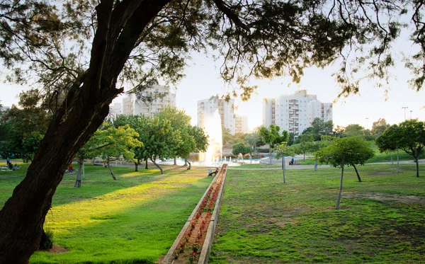 Fontänen vid solnedgången i grön stadspark — Stockfoto