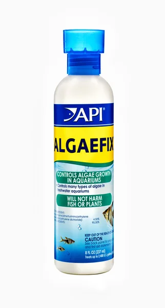 Api-Algenfixflasche — Stockfoto