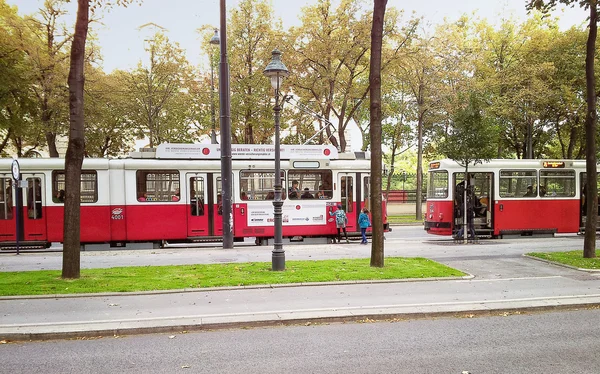 Burgring tramvay durağı — Stok fotoğraf