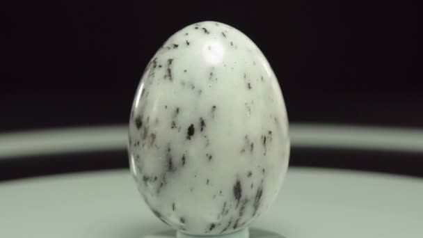 Rotante zebra diaspro uovo di pietra — Video Stock