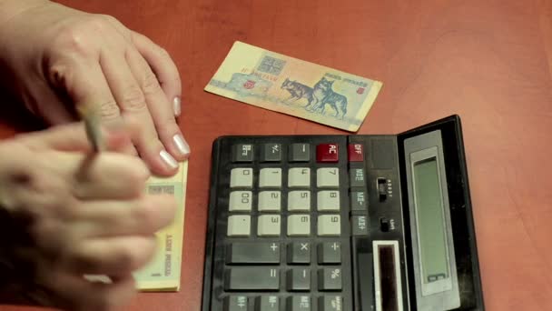 Wit-Russische papieren geld tellen — Stockvideo