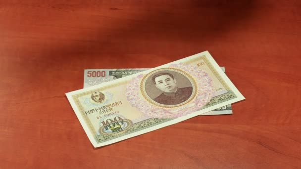 Spreading North Korean paper money — Stock Video