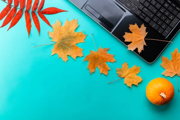 Top view of work space with open laptop and full of colorful autumn maple leaves with copy space.