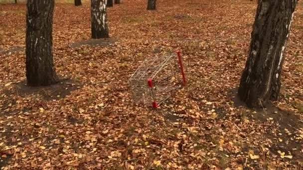 Ein Kaputter Einkaufswagen Aus Einem Supermarkt Liegt Einem Herbstpark Gelbe — Stockvideo