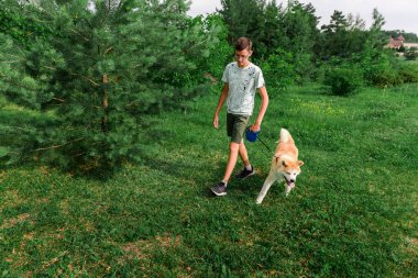 Genç bir adam bir yaz parkında genç bir köpek yavrusuyla yürüyor Akita. Bir adamla köpek arasındaki arkadaşlık kavramı..