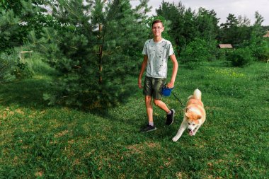 Genç bir adam bir yaz parkında genç bir köpek yavrusuyla yürüyor Akita. Bir adamla köpek arasındaki arkadaşlık kavramı..