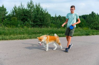 Genç bir adam bir yaz parkında genç bir köpek yavrusuyla yürüyor Akita. Bir adamla köpek arasındaki arkadaşlık kavramı..