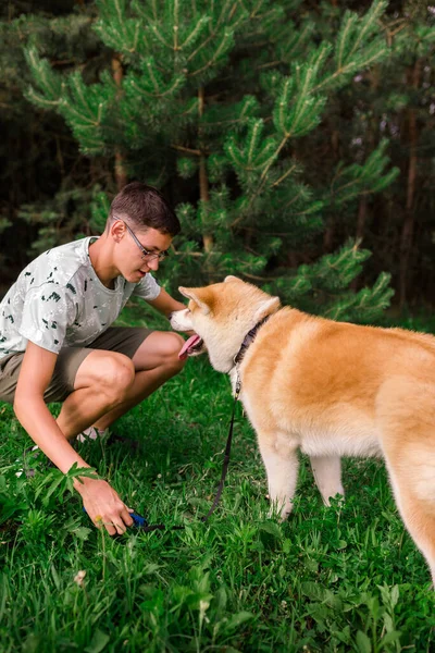Ein Junger Mann Geht Mit Dem Welpen Eines Hundes Akita — Stockfoto
