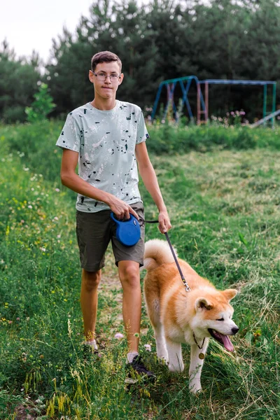 Young Man Walks Summer Park Young Puppy Dog Akita Concept — Stock Photo, Image