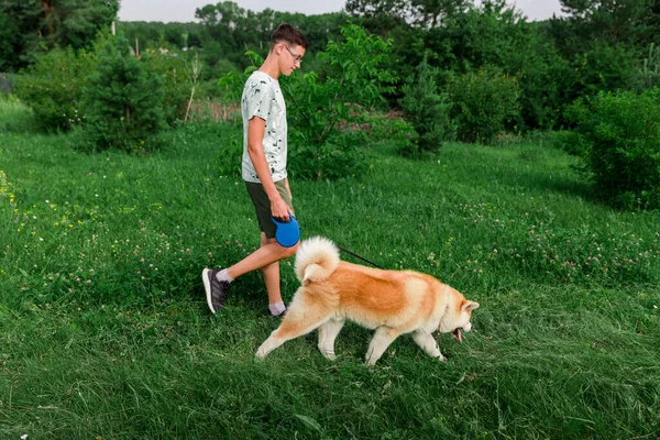 Ein Junger Mann Geht Mit Dem Welpen Eines Hundes Akita — Stockfoto