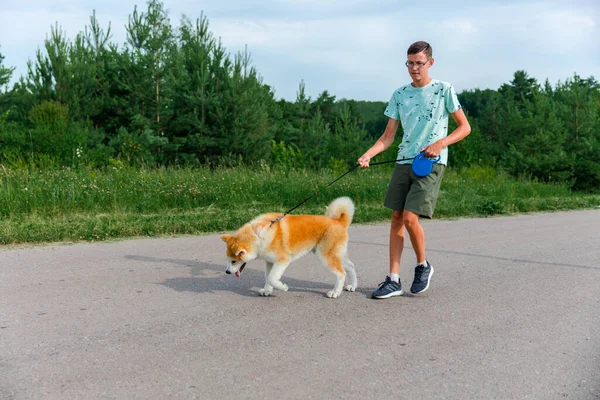 Joven Pasea Parque Verano Con Cachorro Perro Akita Diferente Concepto — Foto de Stock