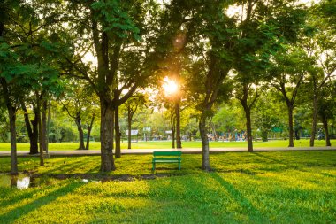 Yeşil park ağaç tezgah ile açık