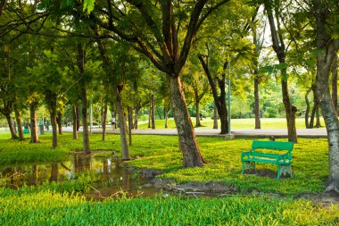 Yeşil park ağaç tezgah ile açık