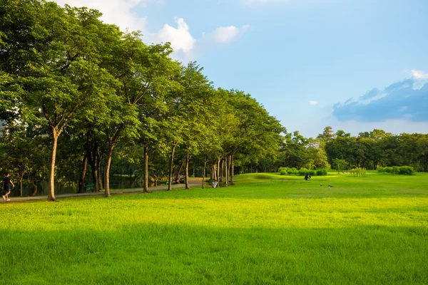 Grön park med gräsmatta — Stockfoto