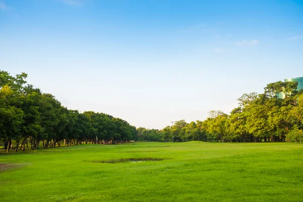 Zelený park s trávníkem — Stock fotografie