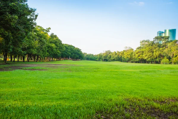 Parque verde com gramado — Fotografia de Stock