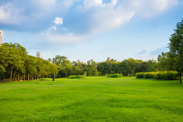 Çim yeşil park 
