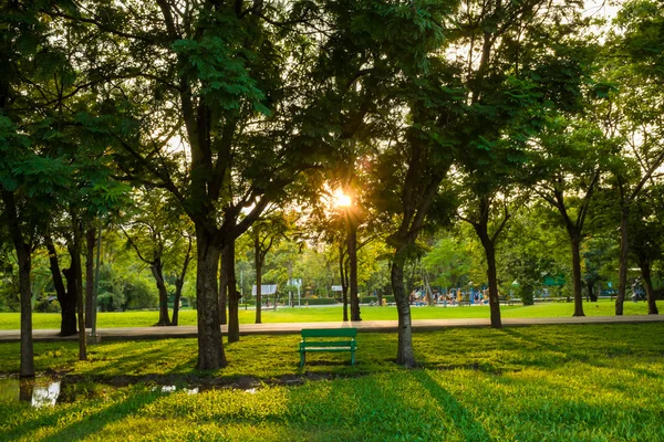 Strom zelený park, venkovní lavička — Stock fotografie