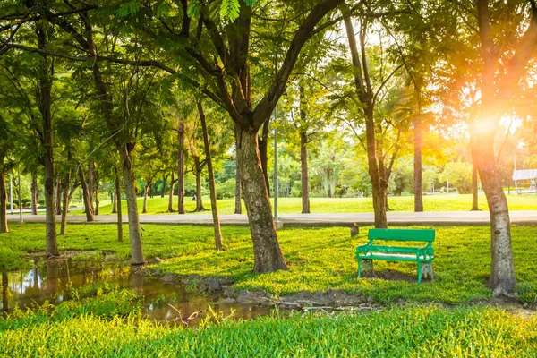 Grön park träd utomhus med bänk — Stockfoto