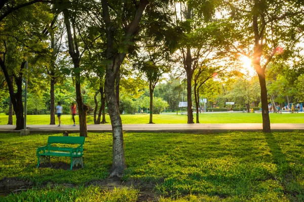 Árbol verde del parque al aire libre con banco —  Fotos de Stock
