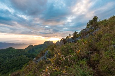 Güneşli şafak manzara dağ