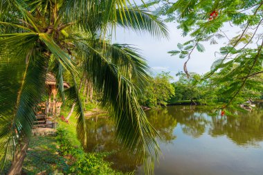 Yeşil çim zekâ göl alanı Parkı '