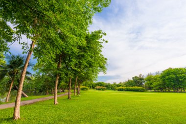Yeşil çim sahası ile güzel yeşil Parkı