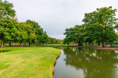 Yeşil çim zekâ göl alanı Parkı '