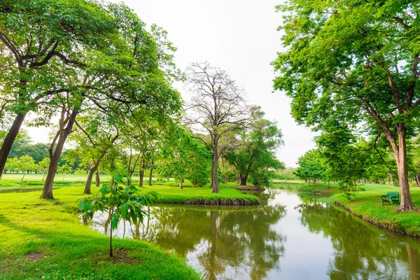 Yeşil çim zekâ gölet alanı