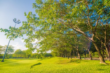 Mavi gökyüzü bulutu ve ağaçla yeşil halk parkı