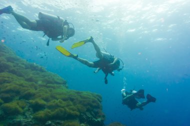 İnsanlar eğlence tüplü dalış yüzme ile