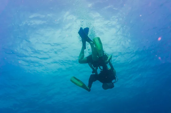 Plongeurs nageant au-dessus du récif corallien vivant — Photo