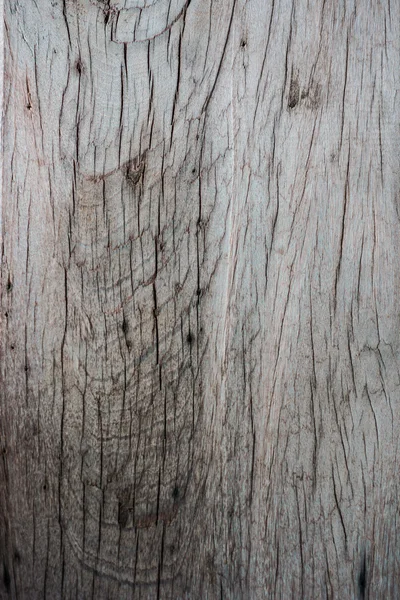 木材の背景の自然な風合い — ストック写真