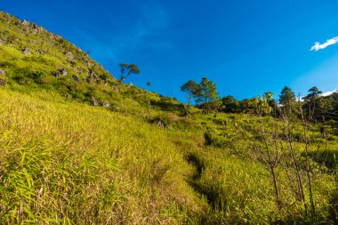 Mavi gökyüzü izleme alt alp dağ çayır