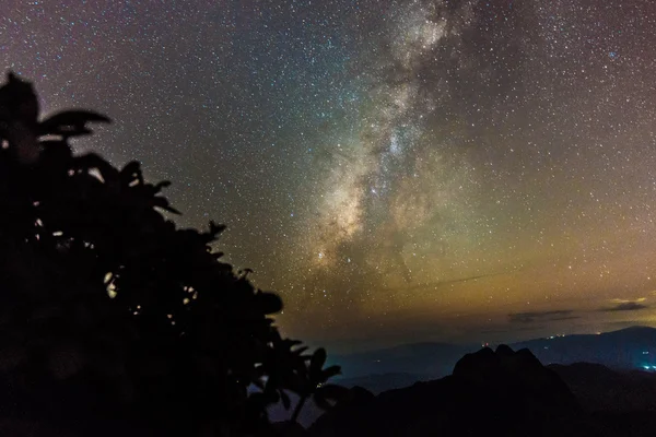 Milky Way Big Trees Mountains Chiangdao Thailand — Stock Photo, Image