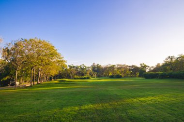 Merkez Parkı güneş akşam ışık yeşil çim
