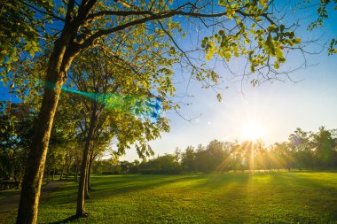 Güzel Park üzerinde mavi gökyüzü günbatımı 