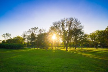 Güzel Park üzerinde mavi gökyüzü günbatımı 