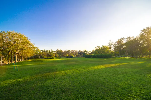 Pôr do sol no belo parque sobre o céu azul — Fotografia de Stock