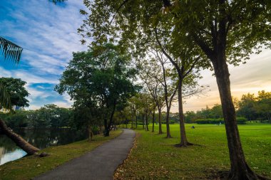Akşam güzel yeşil park insanlar rekreasyon