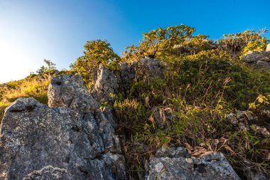 Alt Alp dağ zirveleri orman ve bulutlu bir gökyüzü ile kaplı. 