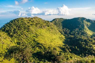 Alt Alp dağ zirveleri orman ve bulutlu bir gökyüzü ile kaplı. 