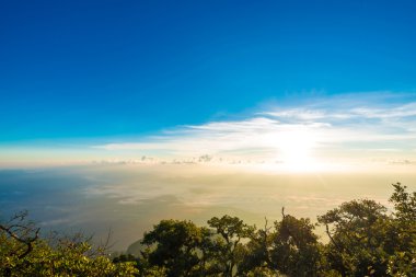 Dağ manzarası ile taze yeşil çayırlar Alp altyordamýndaki 