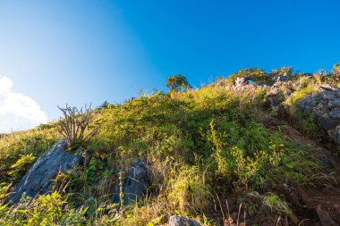 Alt Alp dağ zirveleri orman ve bulutlu bir gökyüzü ile kaplı. 