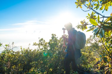 Delikanlı dağlar üst kısmında, fotoğrafta sırt çantası ile alt Alp yeşil orman