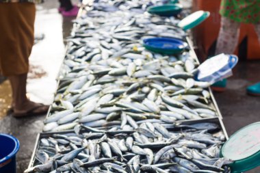 Taze çiğ uskumru balık pazarında, geleneksel balık pazarında