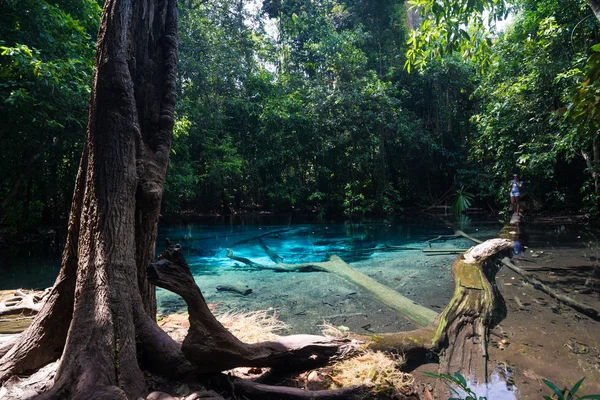 Piscina Azul Esmeralda Krabi Tailandia Naturaleza Increíble —  Fotos de Stock