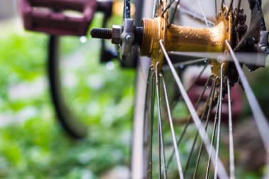 Yeşil çayır üzerinde bisiklet tekerleği. Yaklaş, spor sembolü.